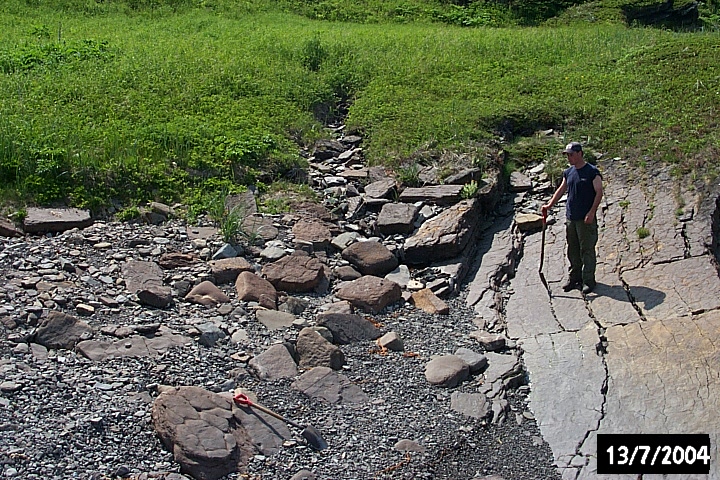 A rough alignment of large tabular rocks are a possible cultural feature